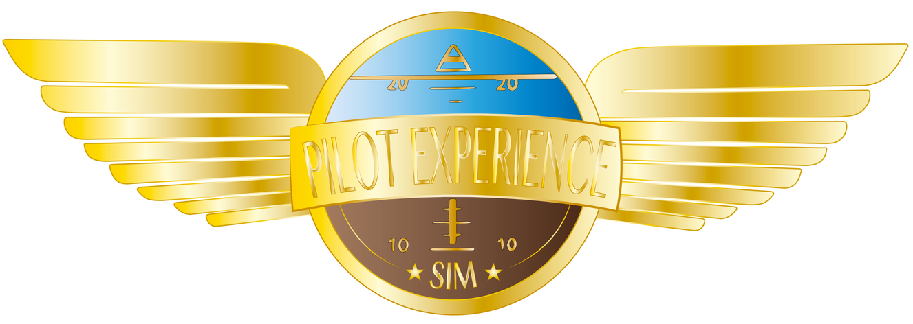 Pilot Experience Sim support